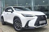 Lexus NX 350h E-FOUR Executive Line*Technologie-Paket* - Lexus Gebrauchtwagen in Augsburg