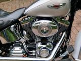 Harley-Davidson FLSTN  Softail Deluxe - Angebote