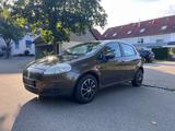 Fiat Punto 1.4 8V*KLIMA*5 Türer*Winterreifen 2025 - Fiat Punto: Türer
