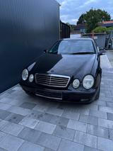 Mercedes-Benz CLK 430 AVANTGARDE Avantgarde - gebrauchte Mercedes-Benz CLK 430 aus dem Jahr 2000