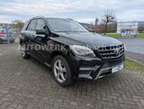 Mercedes-Benz ML 350/AMG-Paket/Keyless-Go/Standheizung - Mercedes-Benz ML 350: AMG