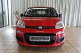 Fiat Panda Easy - Klimaanlage - aus 1. privater Hand - Fiat Panda: Rot