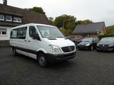 Mercedes-Benz Sprinter II 9 Sitze 311 CDI H1L2 - Mercedes-Benz Sprinter aus 2011: Van