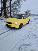 Volkswagen VW polo 1.4 TDI ( MIT TÜV) Kleinwagen Auto... - Volkswagen Polo aus 2002: TDI