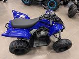 Yamaha YFM 110R  Kinderquad - YAMAHA KINDER