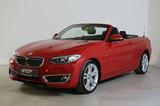 BMW 228i Cabrio Luxury Line Navi Xenon HiFi Leder - gebrauchte Cabrios in Paderborn