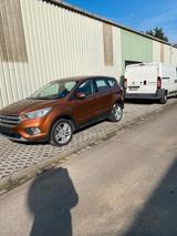 Ford Kuga 2,0 TDCi 4x4 110kW Trend PowerShift Trend - Ford Kuga: Allradantrieb, Trend
