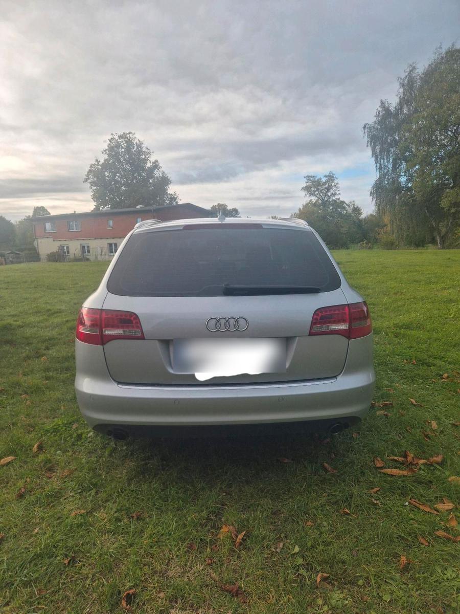Audi A6 2010 — вигляд ззаду