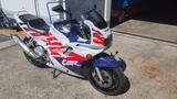 Honda CBR600F PC25 Superbikeumbau - 1.Hd. - HONDA CBR 600 F PC 25
