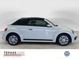 Volkswagen Beetle Cabriolet 1.2 TSi KLIMA PDC KOMFORT - gebrauchte VW Beetle aus dem Jahr 2018