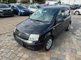 Fiat Panda 1.2 8V *TÜV & Service NEU - Fiat Panda Gebrauchtwagen in Hamburg
