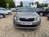 Skoda Octavia 1.6 TDI Green tec Ambition PDC Bi-Xenon - Skoda Octavia: Limousine