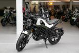 Benelli Leoncino 125, sofort lieferbar, Lieferservice - BENELLI VON 81 BIS 125 CCM