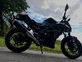 Kawasaki Z125 - Offers