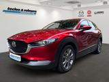 Mazda CX-30 e-SKYACTIV-G 122 AT Exclusive-L. Matrix/36