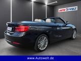 BMW 218i Cabrio Luxury Leder LED Nav Sitzhz Klima - : Braun, Ambiente-Beleuchtung