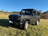 Mercedes-Benz 300 GE | kurz | Classic Data 2-  - Mercedes-Benz G 300: D