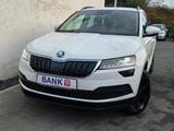 Skoda Karoq Style -BusinessPaket/SR+WR/Gepflegt-