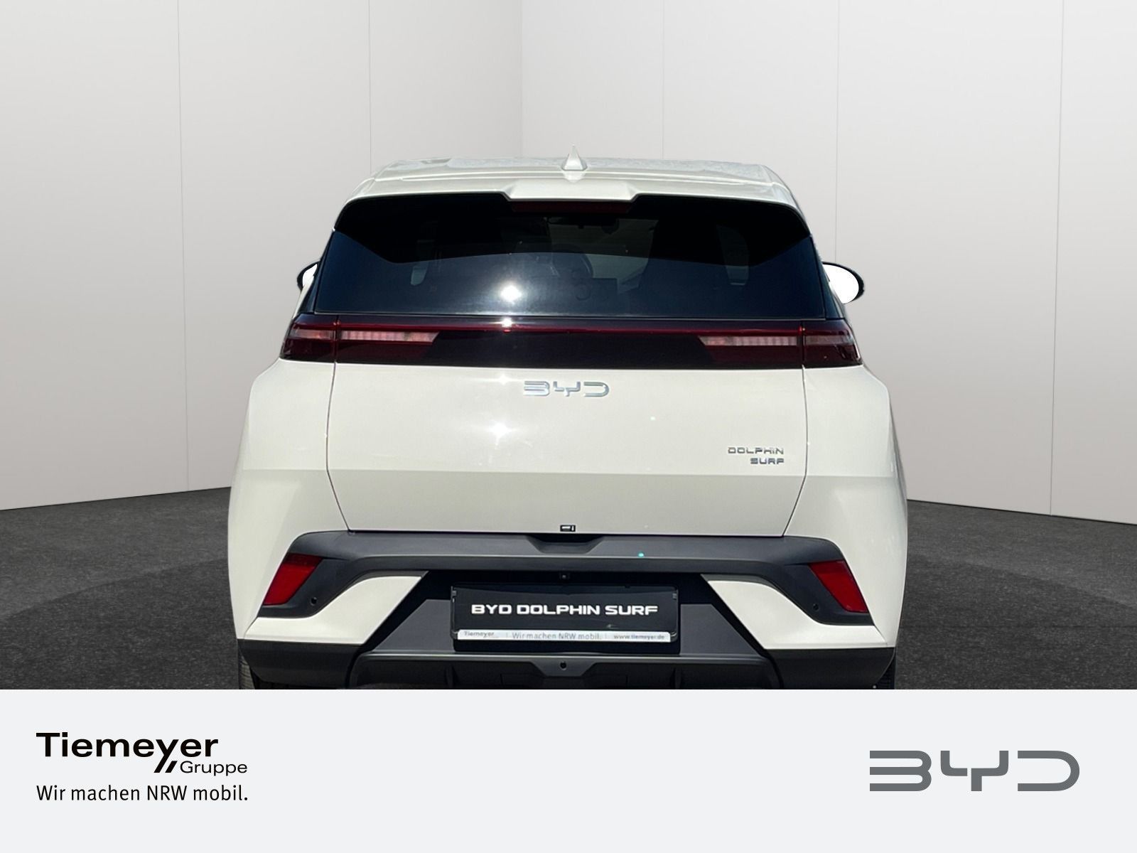 BYD DOLPHIN SURF
