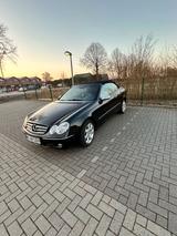 Mercedes-Benz CLK 240 AVANTGARDE Avantgarde - Mercedes-Benz CLK 240