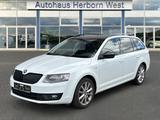 Skoda Octavia 1.4 TSI Joy Green tec Standheizung AHK B - Skoda Octavia: Joy