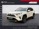 Toyota RAV 4 2.5 4x2 Hybrid Team Deutschland - gebrauchte Toyota RAV 4 aus dem Jahr 2023