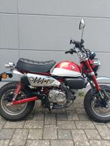 Honda Z 125 MONKEY MAK ED **KUNDENDIENST NEU** - HONDA 125