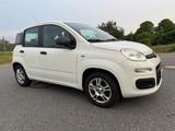 Fiat Panda 1.2 8V POP POP *Zahnriemen Neu* - Fiat New Panda von privat
