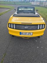 Ford Mustang 5.0 Ti-VCT V8 GT auto GT - : Gelb, Cabrio