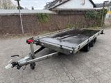 Saris TP40620427002 - Angebote entsprechen deinen Suchkriterien