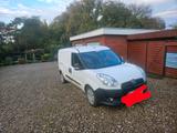Fiat fiat duplo maxi transporter - Fiat: Transporter