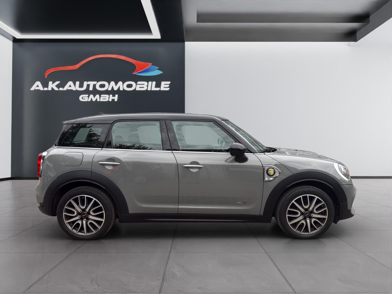 MINI COOPER SE Countryman All4+Navi+PDC+8xLM