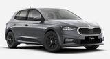 Skoda Fabia 1.0 TSI Selection Kamera Sitzheizung Alu