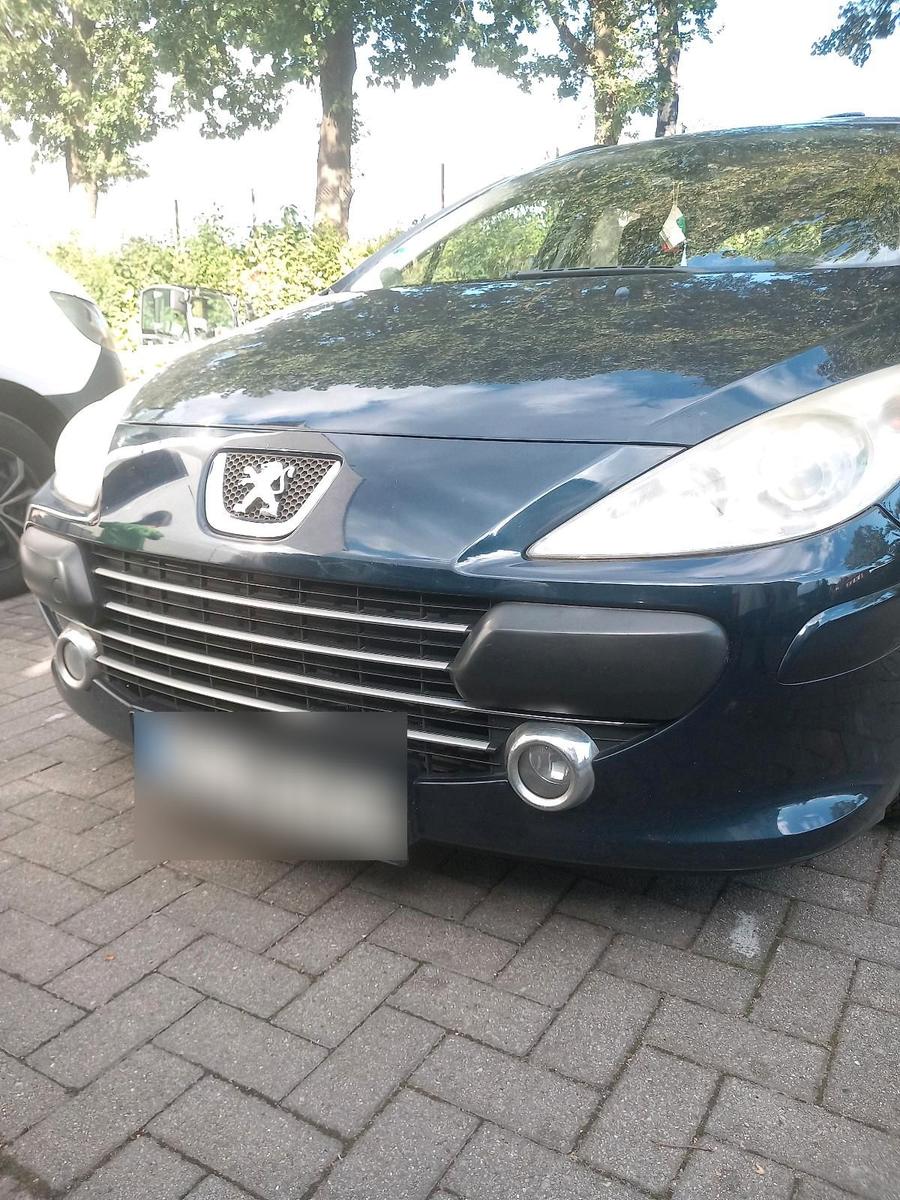 Peugeot 307, 2008