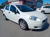 Fiat Punto 1.2 8V 70PS/ 1.HAND/ TÜV-NEU/ KLIMA-ALU / - gebrauchte Fiat Punto aus dem Jahr 2011