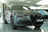 Alfa Romeo Stelvio Quadrifoglio 2.9 V6 Bi-Turbo Akrapovic/  - Alfa Romeo Stelvio mit Benzin-Antrieb: Automatik