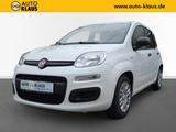 Fiat Pandina 1.0 GSE Hybrid 48 kW Icon - weiße Fiat New Panda