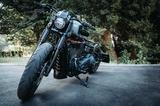 Harley-Davidson  Street Bob FXBB/S (114) Custom Bobber