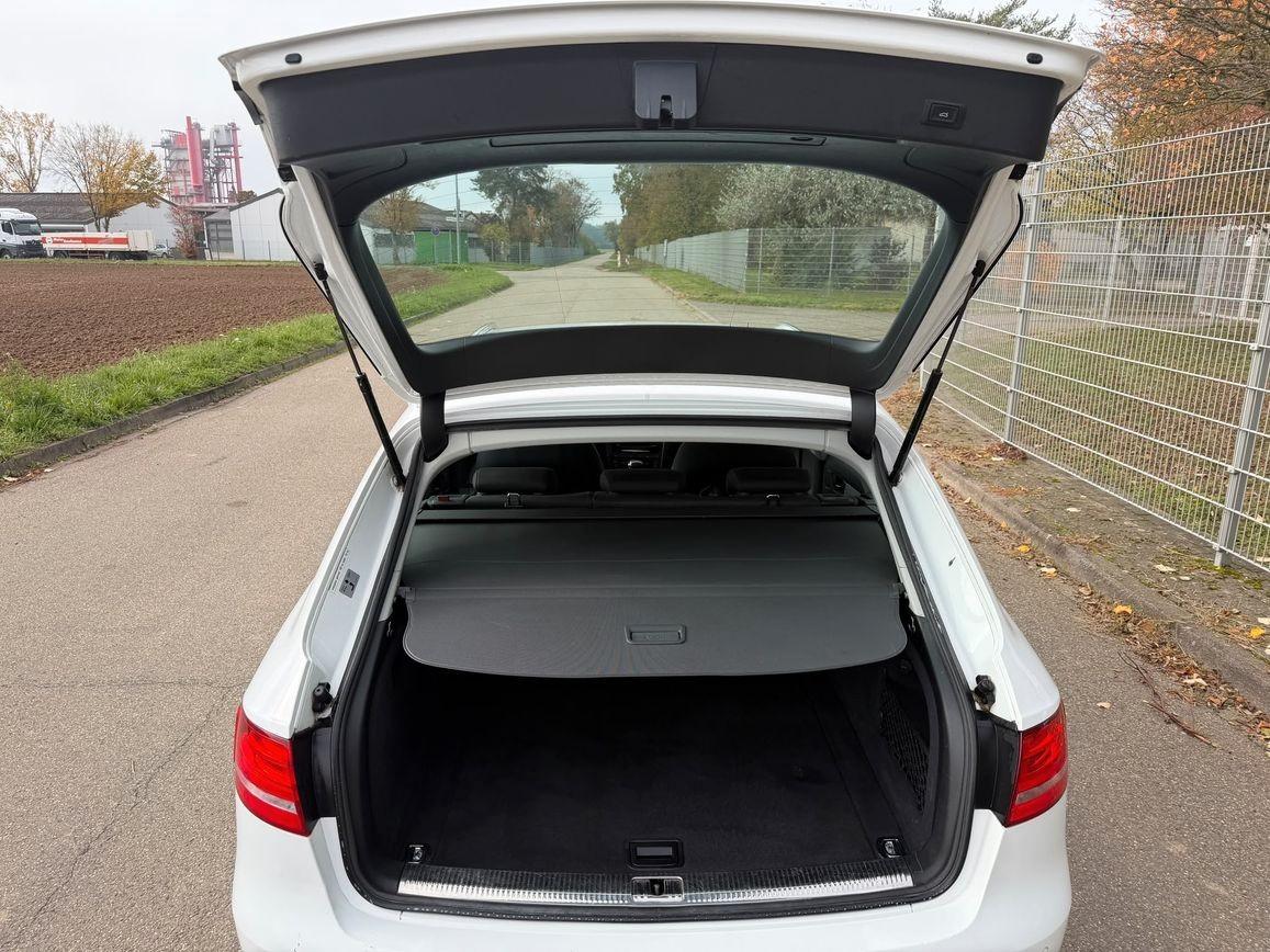 Audi A4 2015 — photo 5