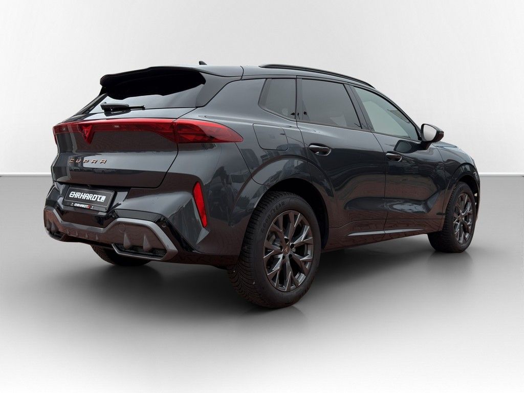 Cupra Terramar - Bild 6