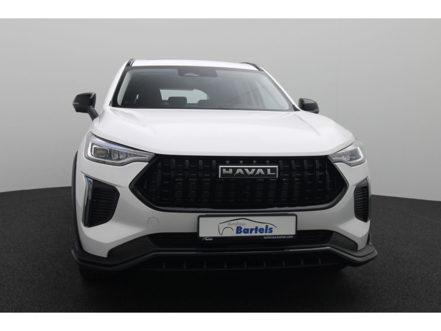 Fahrzeugabbildung GWM Haval Jolion Pro 1.5 Turbo FWD Luxury