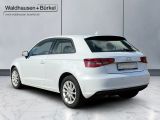 Audi A3 1.6 TDI clean diesel Attraction *PDC / NAVI  - Audi A3: TDI Attraction