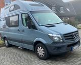 La Strada Regent L - La Strada Regent l