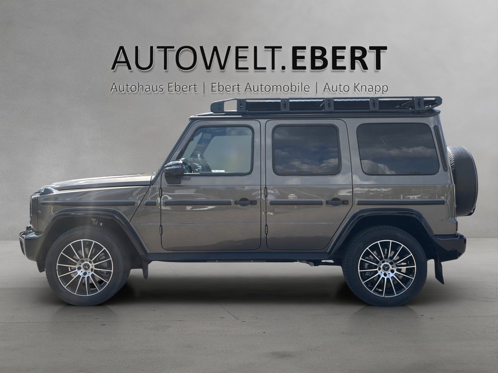 Fahrzeugabbildung Mercedes-Benz G450d Professlo SUPERIOR bicolour AHK Dachträger