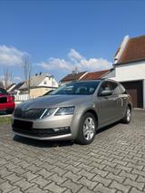 Skoda Octavia 1.5 TSI ACT Ambition Combi  - Skoda Octavia: Beige, mit Apple Carplay