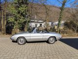 Alfa Romeo Rundheck-Spider mit 1600er Motor TÜV neu H-Kennz - Alfa Romeo: 1600