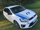 Volkswagen Polo 2.0 TSI R WRC R WRC - : Wrc