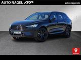 Volvo XC60 T8 Plus Black Edition PANO| - Volvo XC60 Gebrauchtwagen in Münster
