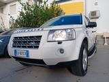 Land Rover LAND ROVER Freelander 2 XS 2.200 TD4 160cv 4WD - gebrauchte Land Rover Freelander aus dem Jahr 2009