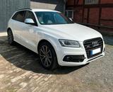 Audi SQ5 8R 3.0TDI Competition Standheizun... - Audi quattro mit Diesel-Antrieb
